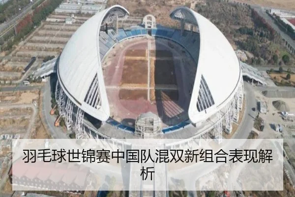 羽毛球世锦赛中国队混双新组合表现解析